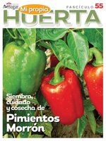 La Huerta en Casa